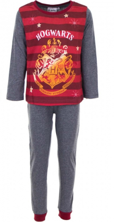 Băieți - Pijama baieti Harry Potter, gri