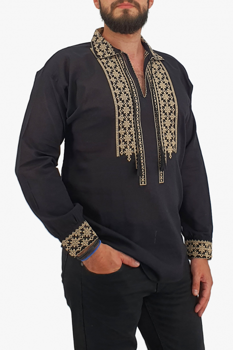 Ie traditionala Ion 5 [2]