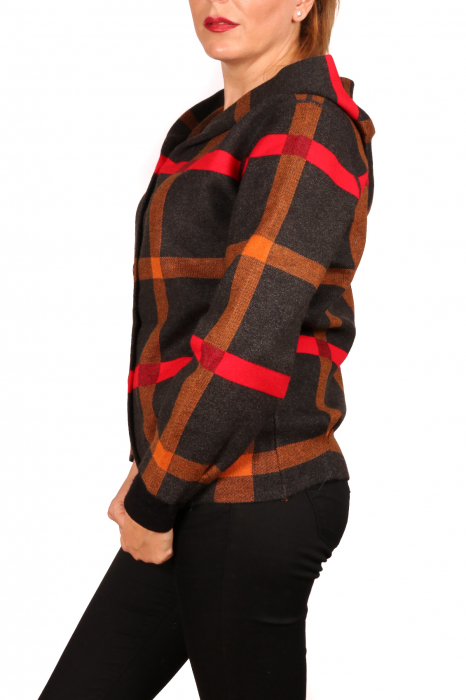 Cardigan cu gluga 3 [3]