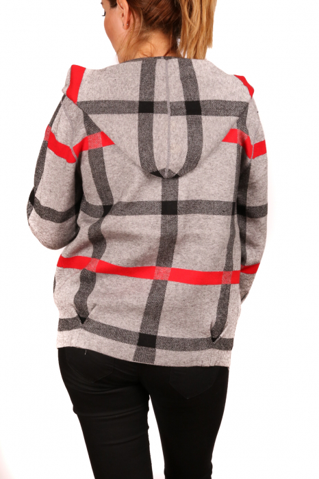 Cardigan cu gluga 2 [2]