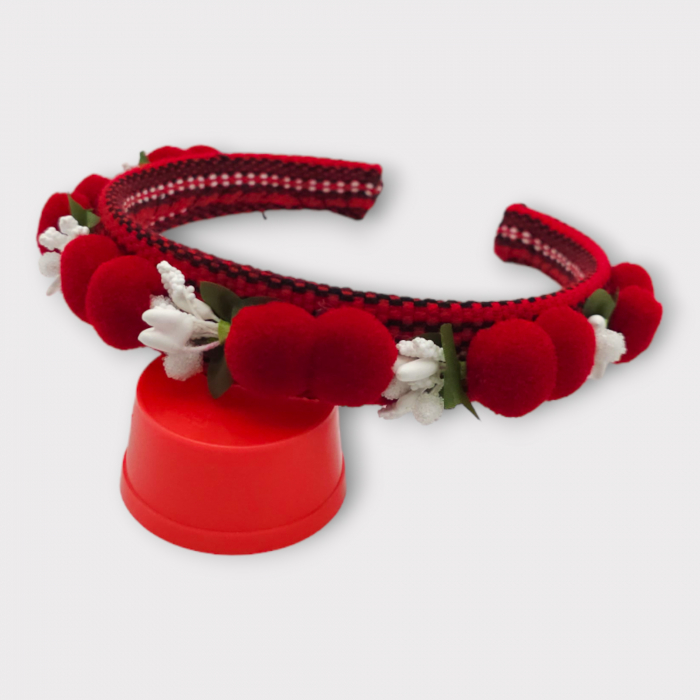 Coronita lucrata manual 17 [4]