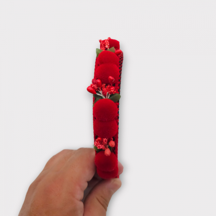 Coronita lucrata manual 17 [3]