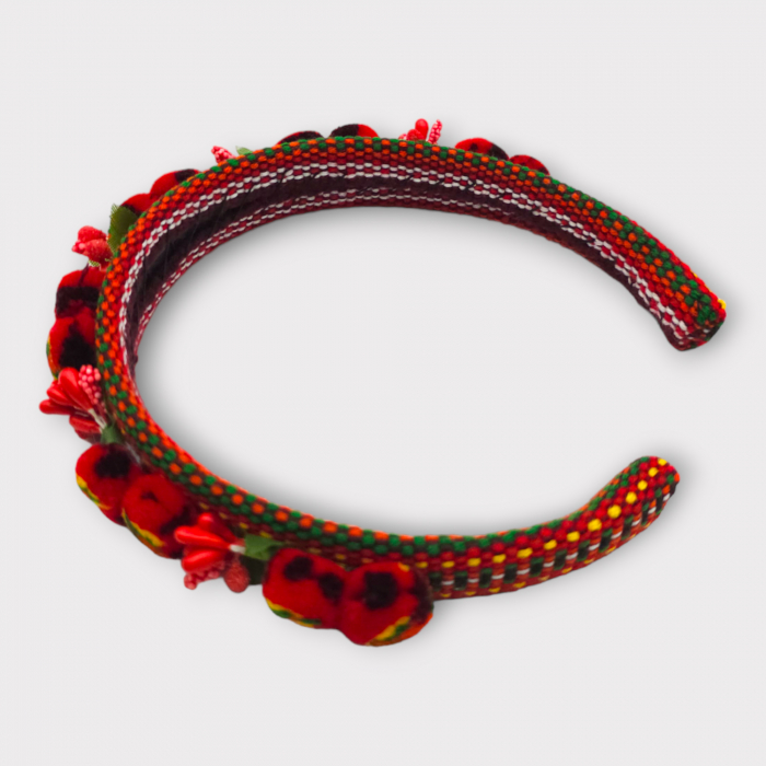 Coronita lucrata manual 17 [8]