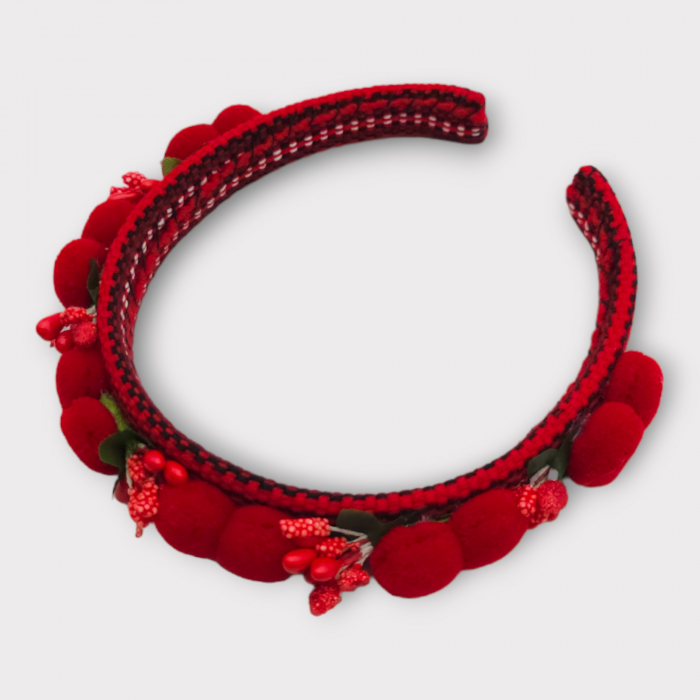 Coronita lucrata manual 17 [2]