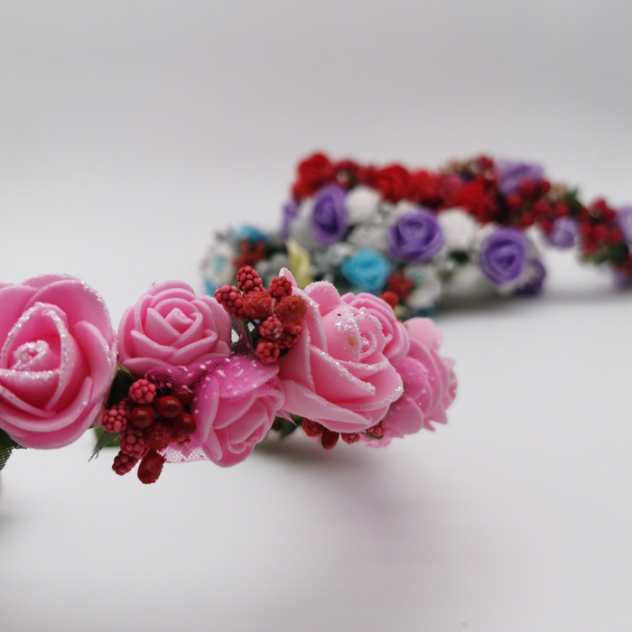 Coronita lucrata manual 3 [2]