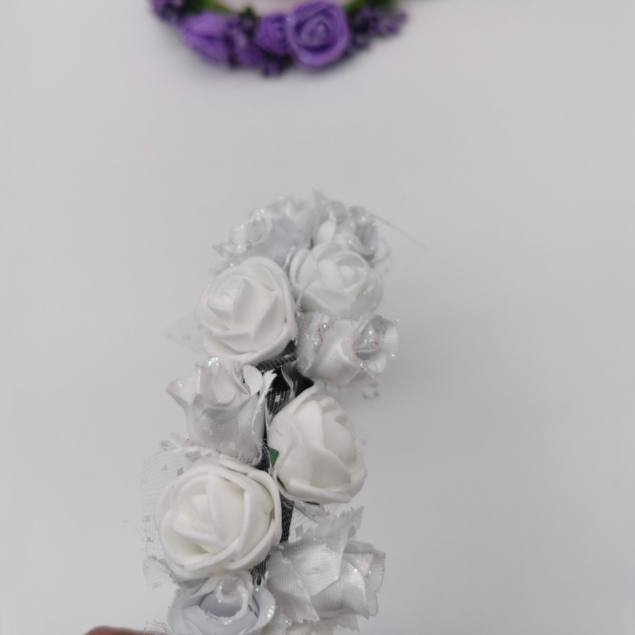 Coronita lucrata manual 5 [2]