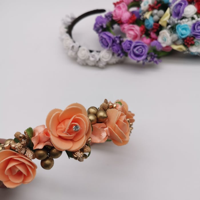 Coronita lucrata manual 6 [2]