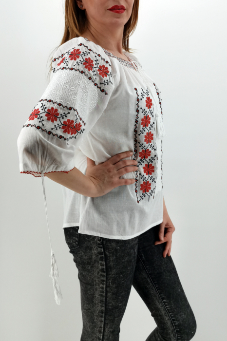 Ie Traditionala Briana [3]