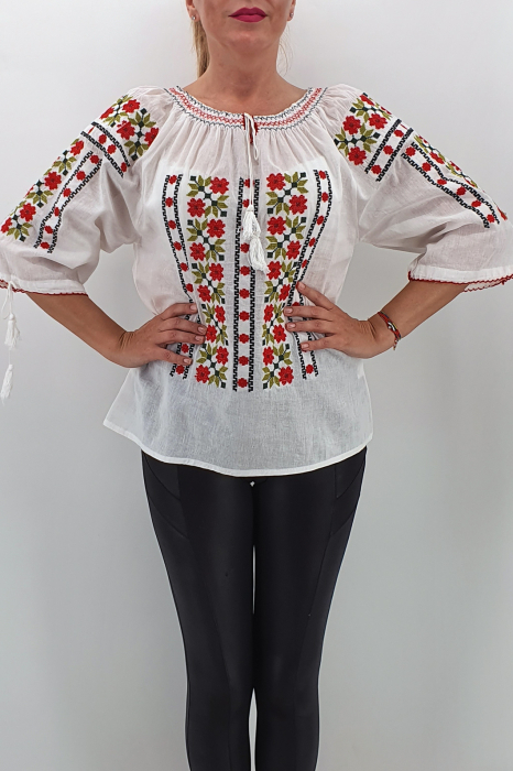 Ie Traditionala Analisa [3]