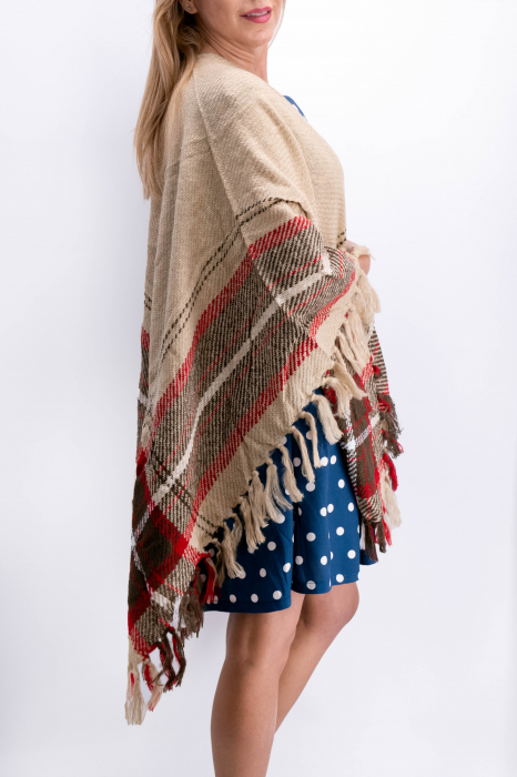 Poncho Lana 17 [2]
