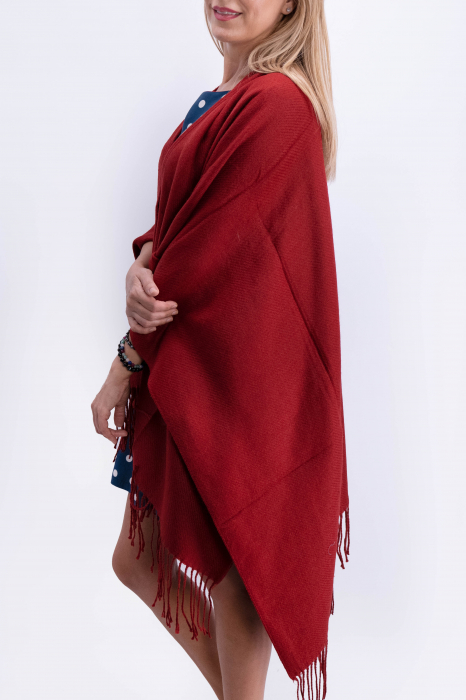 Poncho Lana 18 [2]