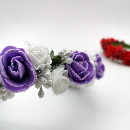 Coronita lucrata manual [1]