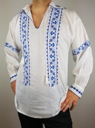 Ie traditionala Ernest [1]