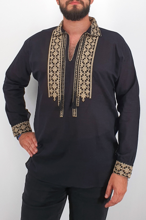 Ie traditionala Ion 5 [2]