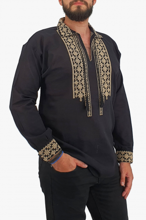 Ie traditionala Ion 5 [1]