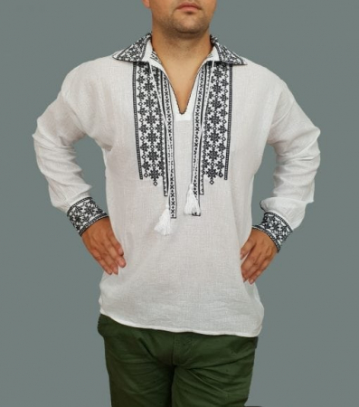 Ie traditionala Ion 3 [1]