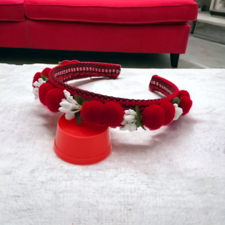 Coronita lucrata manual 17 [8]