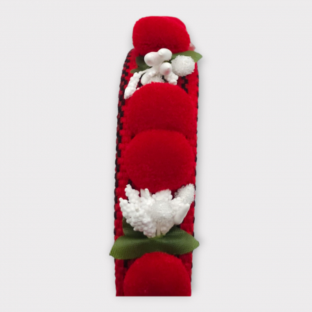 Coronita lucrata manual 17 [4]