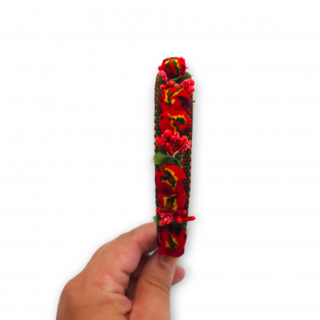 Coronita lucrata manual 17 [6]