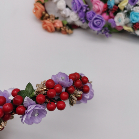 Coronita lucrata manual 7 [1]