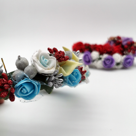 Coronita lucrata manual 2 [1]