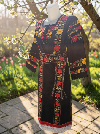 Costum / IE/ Catrinta si Brau Filipa [1]