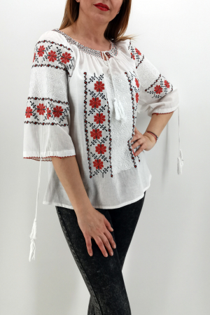 Ie Traditionala Briana [4]