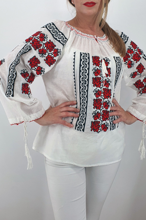 Ie Traditionala Artemis 2 [1]