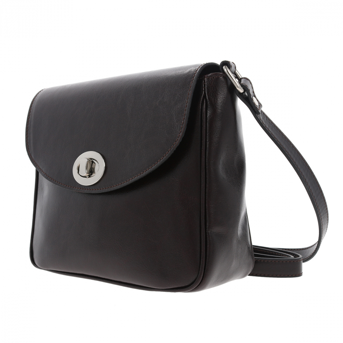 Geanta de dama din piele naturala, model 255, Maro inchis [6]