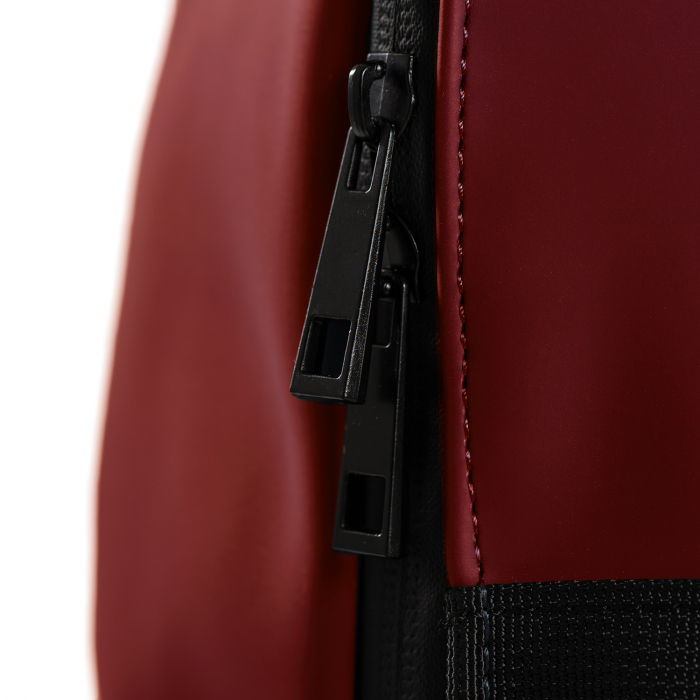 Rucsac impermeabil, universal, laptop 15,4 inch, Daniel Ray, seria Birmingham, Rosu [4]