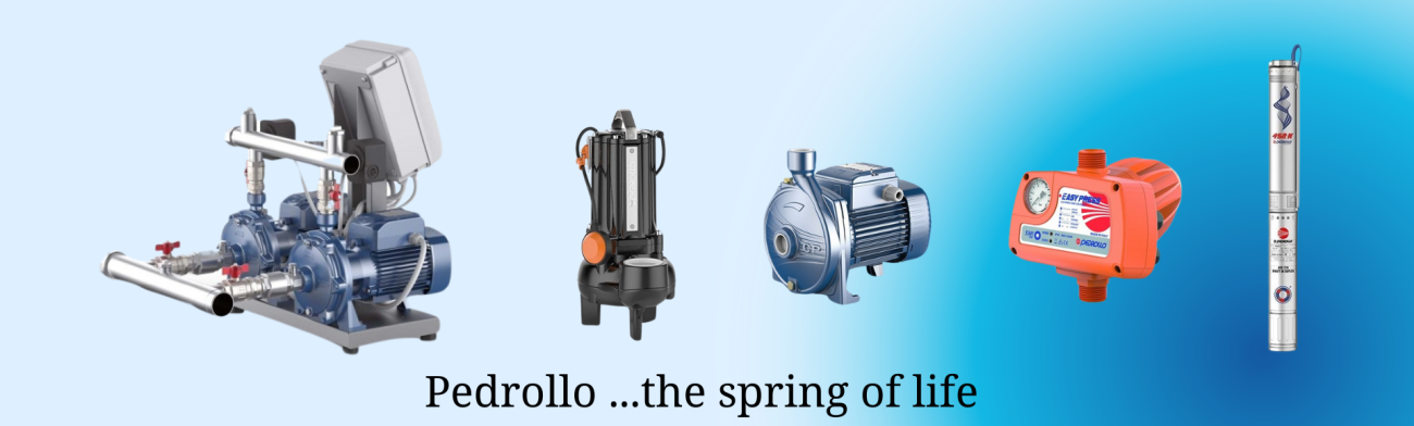 Pedrollo the spring of life