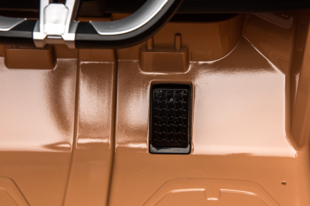 Masinuta electrica Premier BMW i4, 12V, roti cauciuc EVA, scaun piele ecologica, auriu [29]