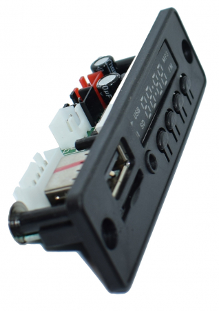 Panou multimedia [1]