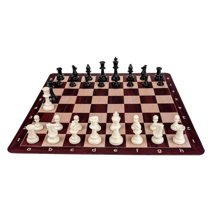 Combo Mousepad: Piese Staunton 6 Weighted +Tabla mousepad imitatie lemn + Gentuta cu fermoar [3]