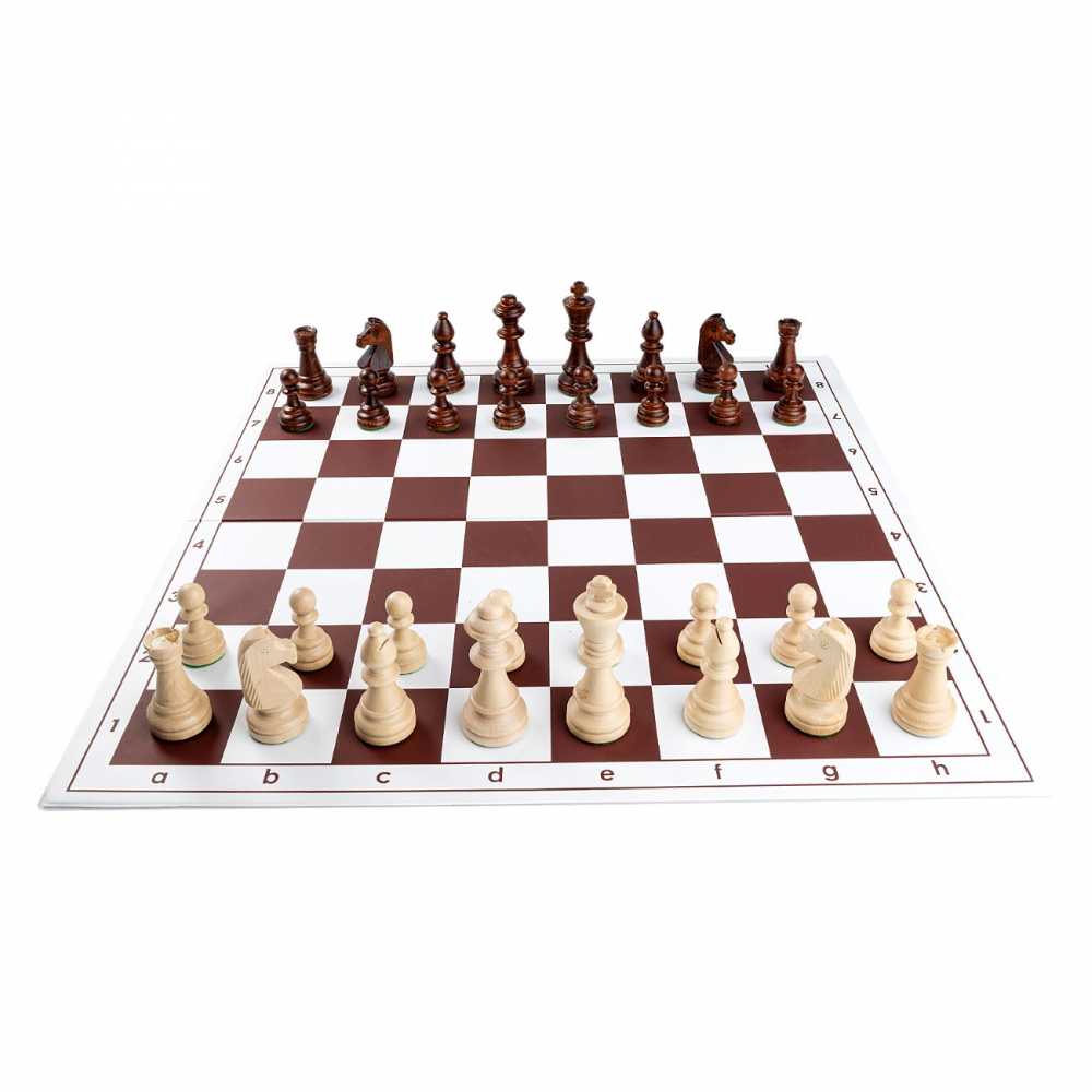 Combo set Staunton 6 lemn  cu tabla PVC [2]