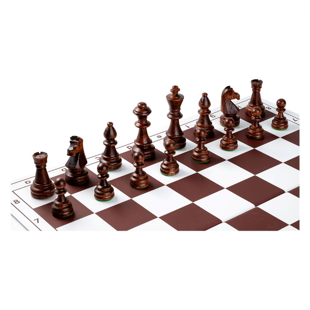 Combo set Staunton 6 lemn  cu tabla PVC [3]