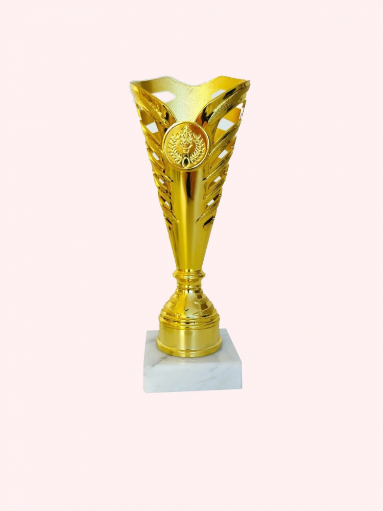 Cupa MS168 - King 64 - [2]