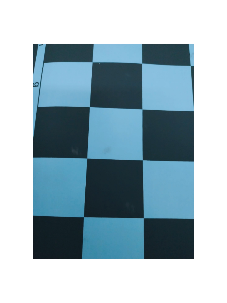 EduChess - set sah scoala la tub - Imperfect [3]