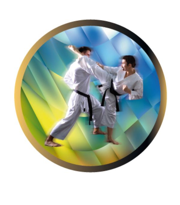 Emblema pentru medalie cupa simbol Arte Matiale 25mm - Colorata -
