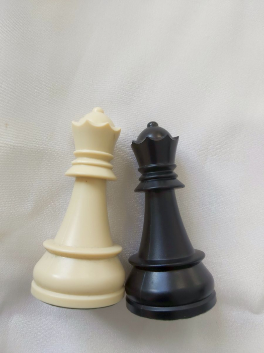 Set Piese Regina Alba  si Neagra pentru setul de piese plastic DGT cu inaltimea regelui de 95 mm [2]