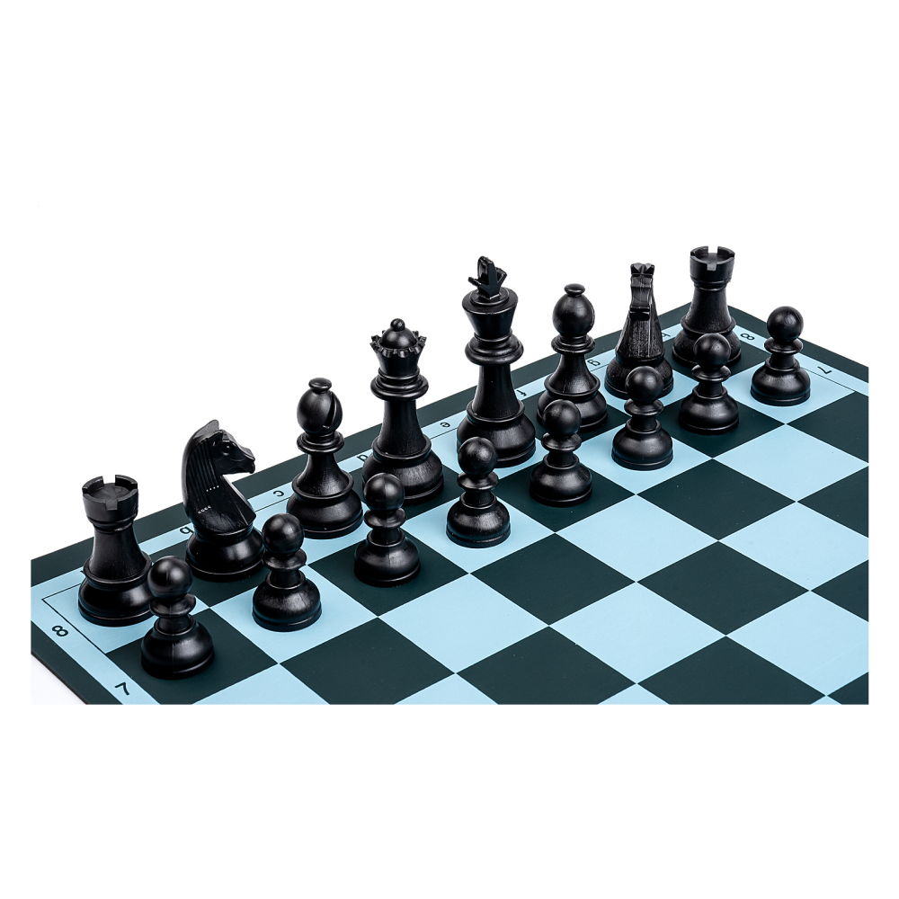 EduChess - set sah scoala la tub [6]
