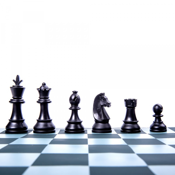 EduChess - set sah scoala la tub - Imperfect [8]