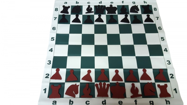 Tabla de demonstratie magnetica care se ruleaza [4]