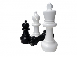 Sah De Gradina Midi - Set Piese Gradina - MIDI