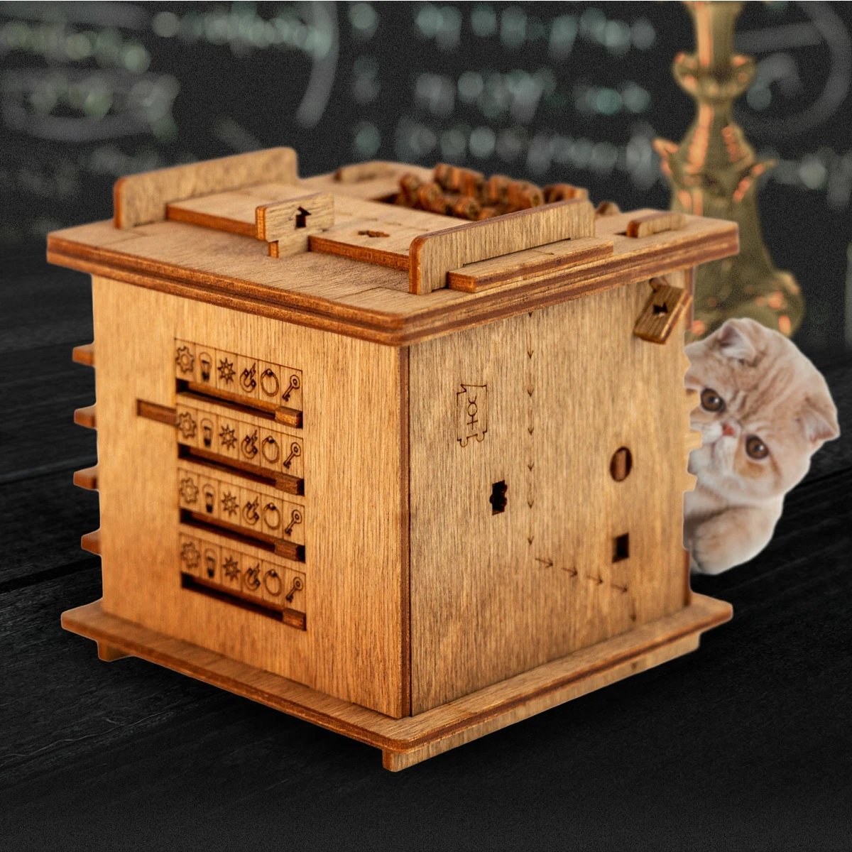 Cluebox - Escape Room in a Box. Schrodinger's cat [4]