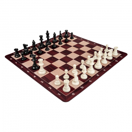Combo Mousepad: Piese Staunton 6 Weighted +Tabla mousepad imitatie lemn + Gentuta cu fermoar [1]