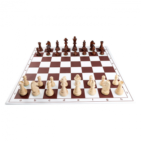 Combo set Staunton 6 lemn  cu tabla PVC [1]