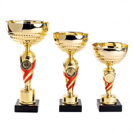 Cupe si trofee - Cupa MK02
