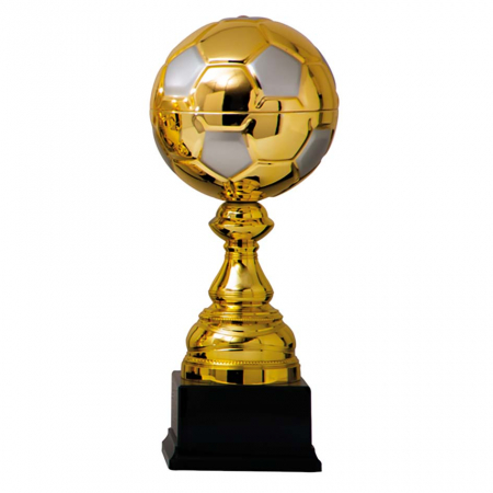Cupe si trofee - Cupa MK15
