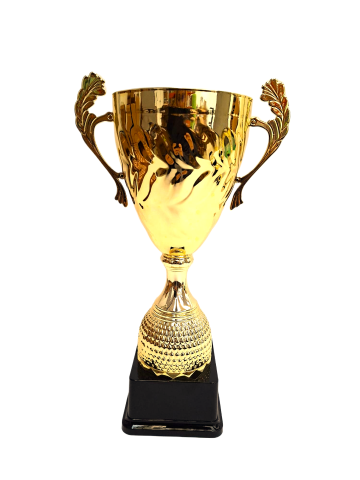 Cupe si trofee - Cupa MS212, Gloria